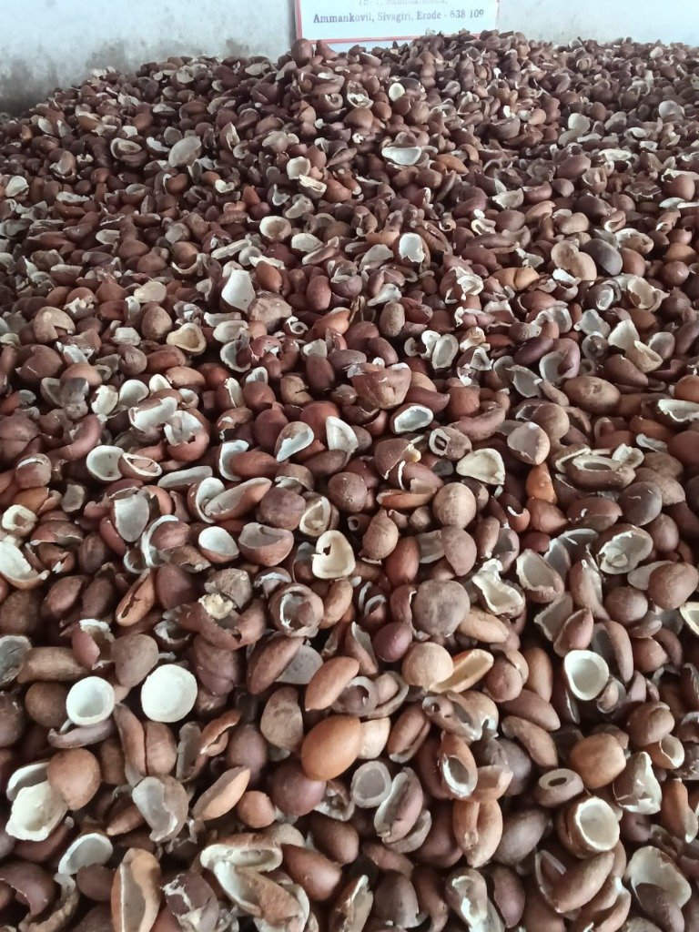 Pristine quality sun-dried copra ready for cold-pressing
